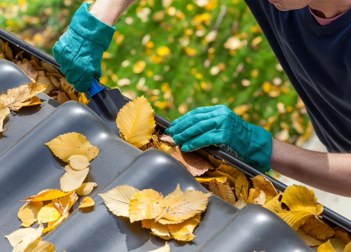 Home Maintenance Checklist: Season-by-Season Guide guide image