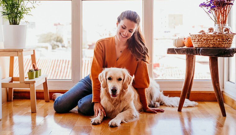 Best Flooring for Pets: Durable, Safe Home Options home guide image