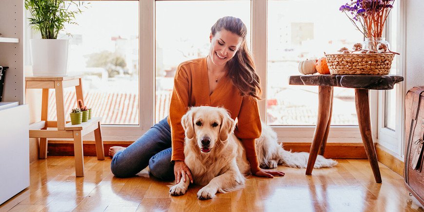Best Flooring for Pets: Durable, Safe Home Options guide image